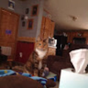 Meet your Posher, Darlene